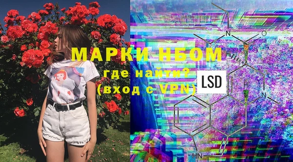 прущие крисы Новозыбков
