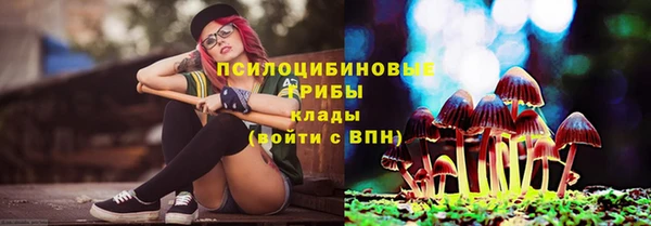 прущие крисы Новозыбков
