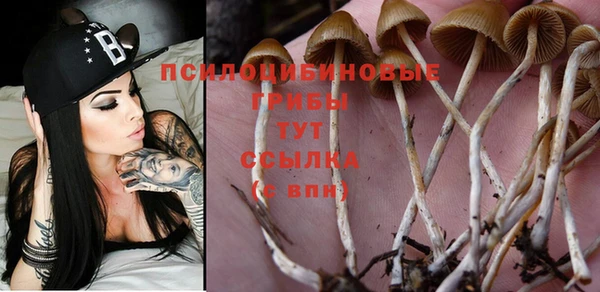 дурь Новокубанск
