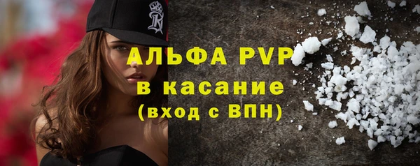 прущие крисы Новозыбков