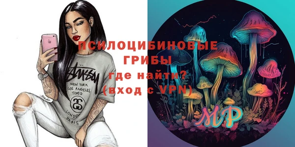 молекула духа Надым