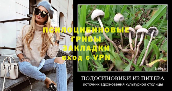 прущие крисы Новозыбков