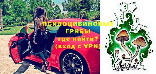 прущие крисы Новозыбков