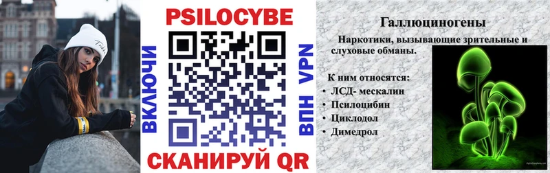Псилоцибиновые грибы Psilocybe где купить Котово